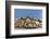 Alaska, Glacier Bay. Stellar sea lions hauled out to warm up on rocks.-Brenda Tharp-Framed Photographic Print