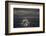 Alaska_Glacier_Bay-Art Wolfe-Framed Photographic Print