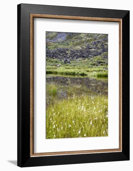 Alaska, Hatchers Pass, Old Mining Cabins-Savanah Stewart-Framed Photographic Print