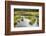 Alaska, Hatchers Pass-Savanah Stewart-Framed Photographic Print