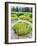 Alaska marshland-Savanah Plank-Framed Photo