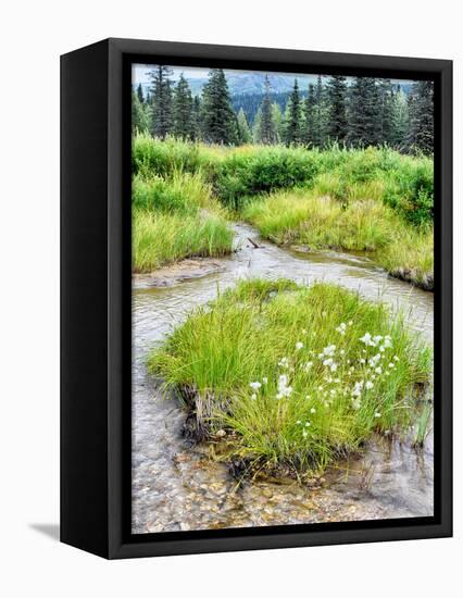 Alaska marshland-Savanah Plank-Framed Stretched Canvas