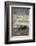 Alaska, Moose Off Seward Highway Near Girdwood-Savanah Stewart-Framed Photographic Print