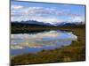 Alaska Mountain Range and pothole, Denali National Park, Alaska.-Howie Garber-Mounted Photographic Print