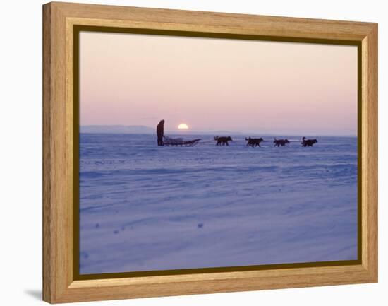 Alaska: Native Alaskan Moving on a Dog-Sled over the Ice, with the Midnight Sun in the Background-Ralph Crane-Framed Premier Image Canvas