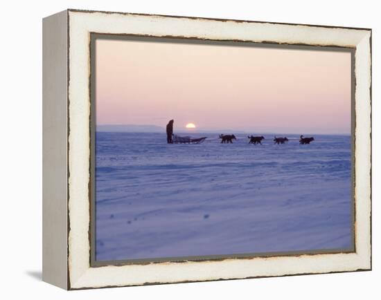 Alaska: Native Alaskan Moving on a Dog-Sled over the Ice, with the Midnight Sun in the Background-Ralph Crane-Framed Premier Image Canvas