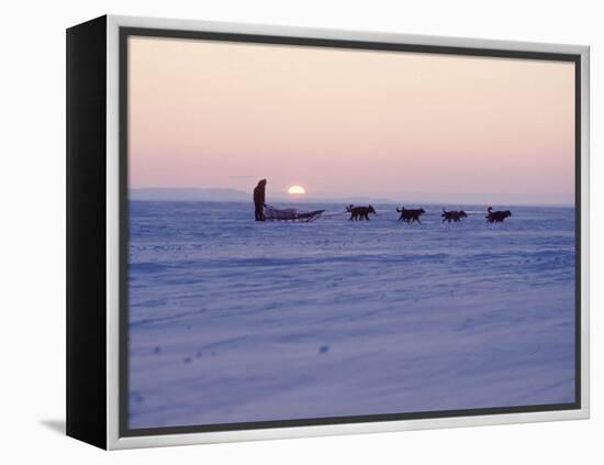 Alaska: Native Alaskan Moving on a Dog-Sled over the Ice, with the Midnight Sun in the Background-Ralph Crane-Framed Premier Image Canvas