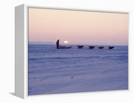 Alaska: Native Alaskan Moving on a Dog-Sled over the Ice, with the Midnight Sun in the Background-Ralph Crane-Framed Premier Image Canvas