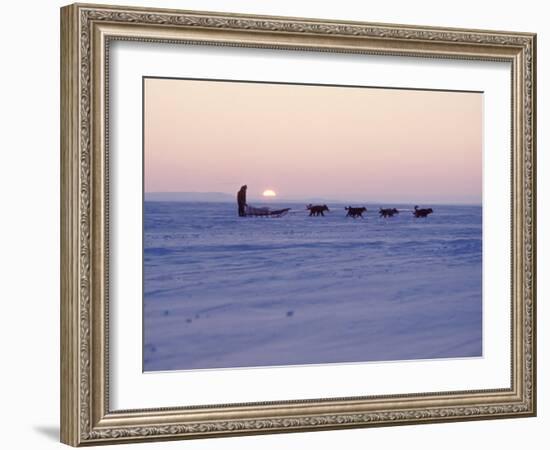 Alaska: Native Alaskan Moving on a Dog-Sled over the Ice, with the Midnight Sun in the Background-Ralph Crane-Framed Photographic Print