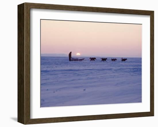 Alaska: Native Alaskan Moving on a Dog-Sled over the Ice, with the Midnight Sun in the Background-Ralph Crane-Framed Photographic Print