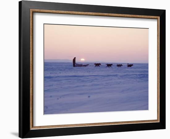 Alaska: Native Alaskan Moving on a Dog-Sled over the Ice, with the Midnight Sun in the Background-Ralph Crane-Framed Photographic Print