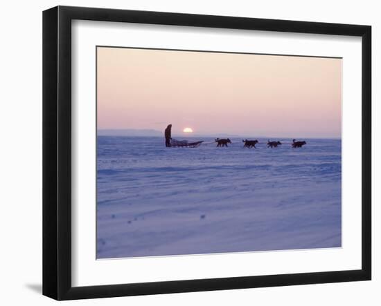 Alaska: Native Alaskan Moving on a Dog-Sled over the Ice, with the Midnight Sun in the Background-Ralph Crane-Framed Photographic Print