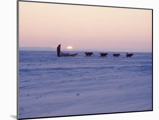 Alaska: Native Alaskan Moving on a Dog-Sled over the Ice, with the Midnight Sun in the Background-Ralph Crane-Mounted Photographic Print