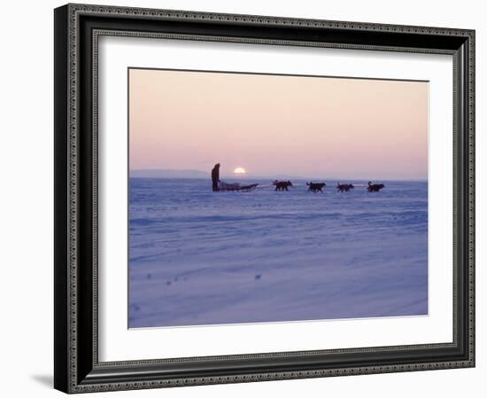 Alaska: Native Alaskan Moving on a Dog-Sled over the Ice, with the Midnight Sun in the Background-Ralph Crane-Framed Photographic Print