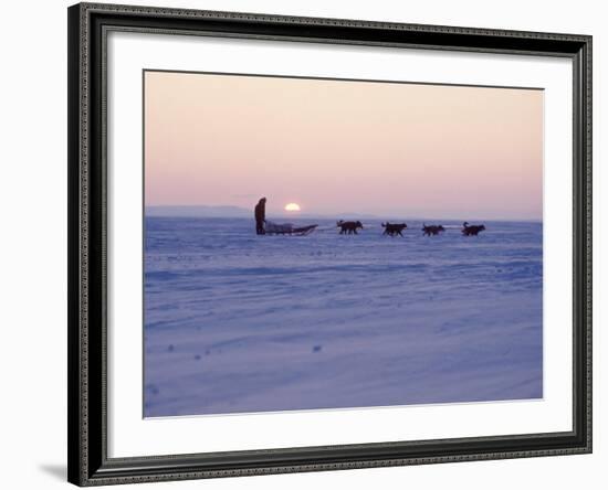 Alaska: Native Alaskan Moving on a Dog-Sled over the Ice, with the Midnight Sun in the Background-Ralph Crane-Framed Photographic Print