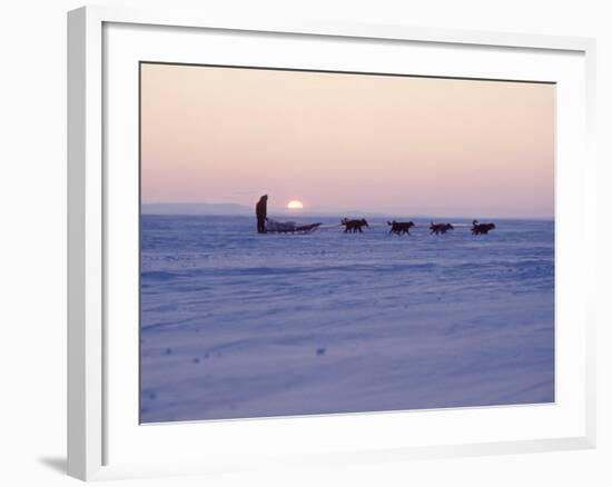 Alaska: Native Alaskan Moving on a Dog-Sled over the Ice, with the Midnight Sun in the Background-Ralph Crane-Framed Photographic Print