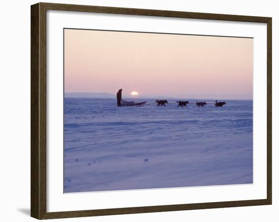 Alaska: Native Alaskan Moving on a Dog-Sled over the Ice, with the Midnight Sun in the Background-Ralph Crane-Framed Photographic Print