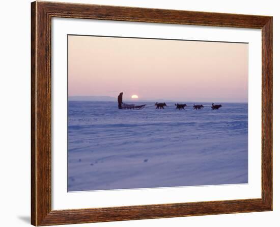 Alaska: Native Alaskan Moving on a Dog-Sled over the Ice, with the Midnight Sun in the Background-Ralph Crane-Framed Photographic Print