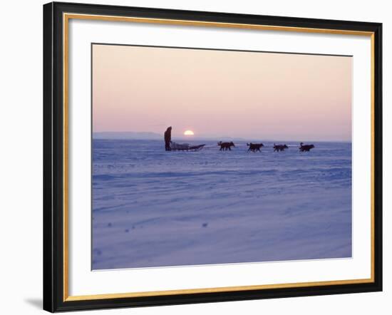 Alaska: Native Alaskan Moving on a Dog-Sled over the Ice, with the Midnight Sun in the Background-Ralph Crane-Framed Photographic Print