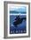 Alaska - Orca and Calf-Lantern Press-Framed Art Print