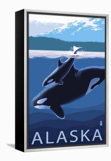 Alaska - Orca and Calf-Lantern Press-Framed Stretched Canvas