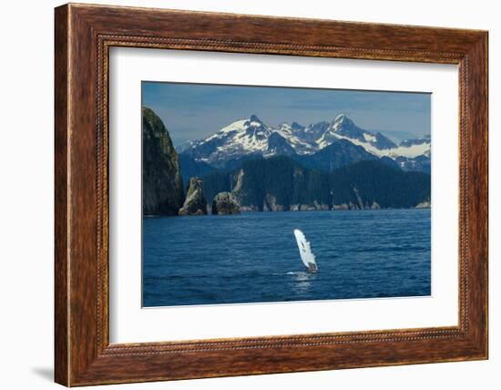 Alaska Passage Humpback Fin-Charles Glover-Framed Giclee Print