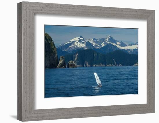 Alaska Passage Humpback Fin-Charles Glover-Framed Giclee Print