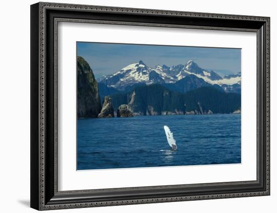 Alaska Passage Humpback Fin-Charles Glover-Framed Giclee Print