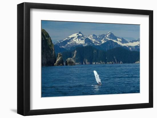 Alaska Passage Humpback Fin-Charles Glover-Framed Giclee Print