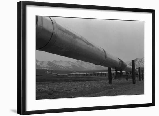 Photo, , large