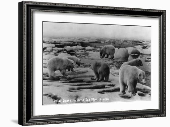 Alaska - Polar Bears on Arctic Ice Float-Lantern Press-Framed Art Print