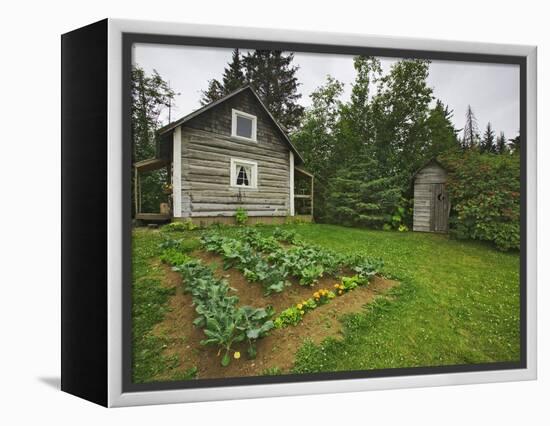 Alaska-Pratt Museum Homestead and Outhouse Built in 1929, Homer, Alaska, USA-Dennis Flaherty-Framed Premier Image Canvas