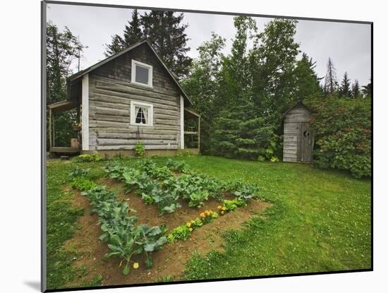 Alaska-Pratt Museum Homestead and Outhouse Built in 1929, Homer, Alaska, USA-Dennis Flaherty-Mounted Photographic Print