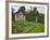 Alaska-Pratt Museum Homestead and Outhouse Built in 1929, Homer, Alaska, USA-Dennis Flaherty-Framed Photographic Print