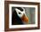 Alaska Puffin Wisdom-Charles Glover-Framed Giclee Print