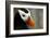 Alaska Puffin Wisdom-Charles Glover-Framed Giclee Print