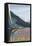 Alaska Railroad Scene, Denali National Park, Alaska-Lantern Press-Framed Stretched Canvas