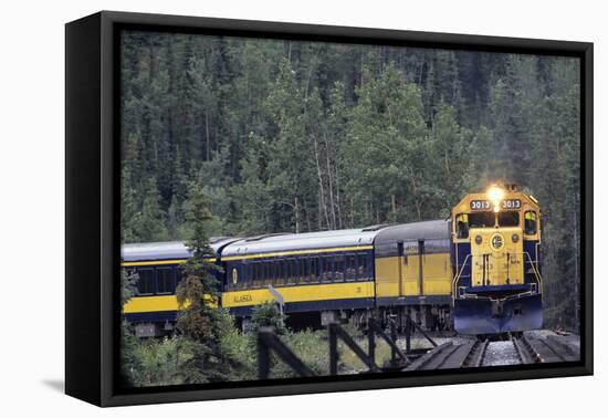 Alaska Railroad Train, Denali National Park, Alaska, USA-Gerry Reynolds-Framed Premier Image Canvas