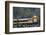 Alaska Railroad Train, Denali National Park, Alaska, USA-Gerry Reynolds-Framed Photographic Print