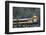 Alaska Railroad Train, Denali National Park, Alaska, USA-Gerry Reynolds-Framed Photographic Print