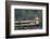 Alaska Railroad Train, Denali National Park, Alaska, USA-Gerry Reynolds-Framed Photographic Print