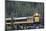 Alaska Railroad Train, Denali National Park, Alaska, USA-Gerry Reynolds-Mounted Photographic Print