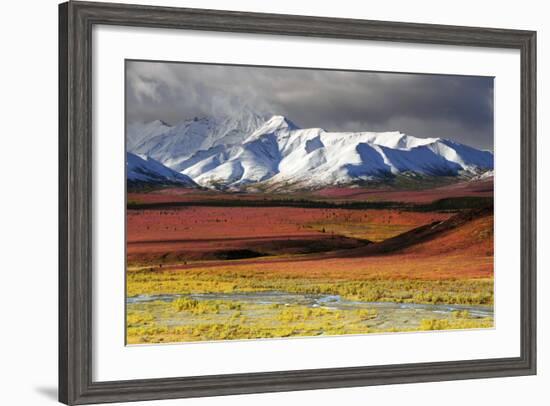 Alaska Range, Autumn, Taiga, Denali National Park, Alaska, USA-Michel Hersen-Framed Photographic Print