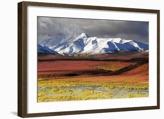 Alaska Range, Autumn, Taiga, Denali National Park, Alaska, USA-Michel Hersen-Framed Photographic Print