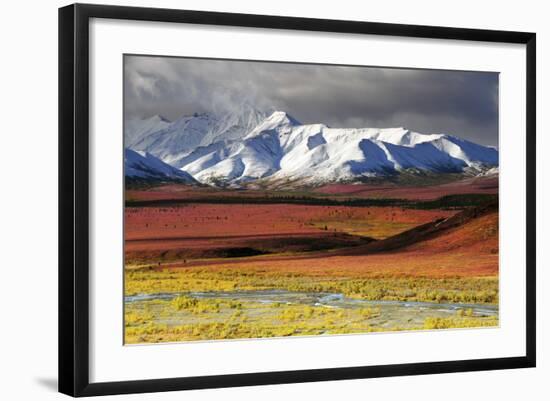 Alaska Range, Autumn, Taiga, Denali National Park, Alaska, USA-Michel Hersen-Framed Photographic Print