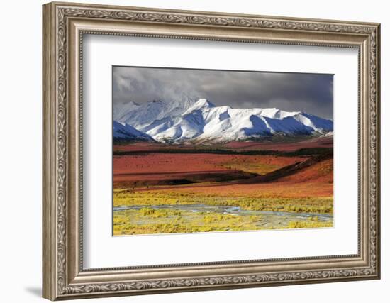 Alaska Range, Autumn, Taiga, Denali National Park, Alaska, USA-Michel Hersen-Framed Photographic Print