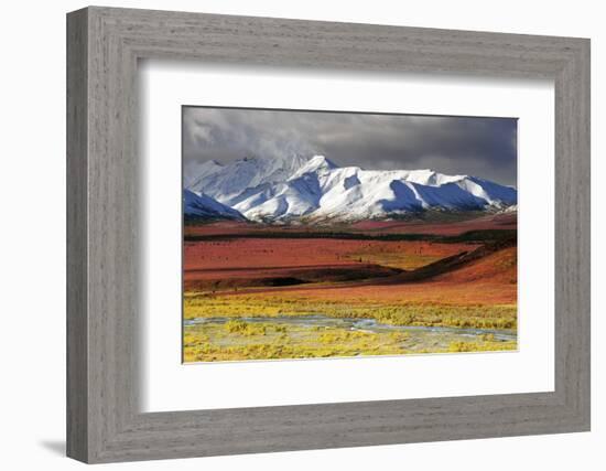 Alaska Range, Autumn, Taiga, Denali National Park, Alaska, USA-Michel Hersen-Framed Photographic Print