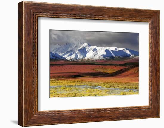 Alaska Range, Autumn, Taiga, Denali National Park, Alaska, USA-Michel Hersen-Framed Photographic Print