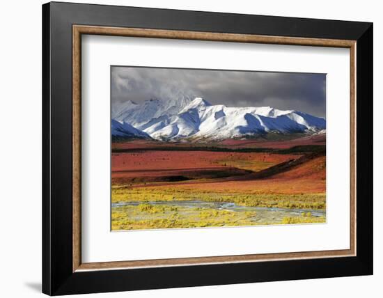 Alaska Range, Autumn, Taiga, Denali National Park, Alaska, USA-Michel Hersen-Framed Photographic Print