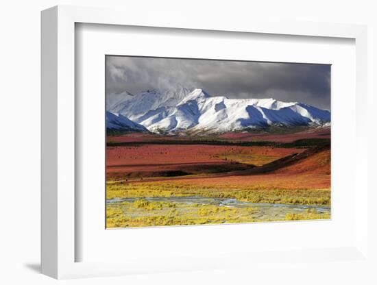 Alaska Range, Autumn, Taiga, Denali National Park, Alaska, USA-Michel Hersen-Framed Photographic Print